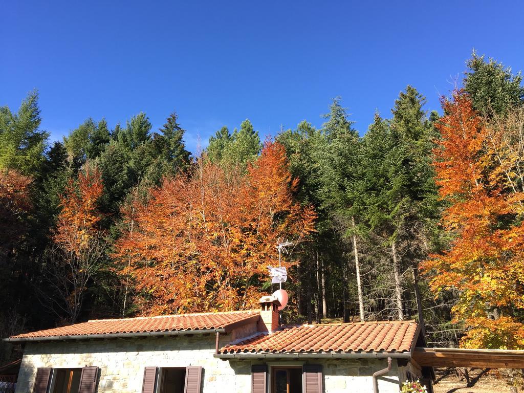 פופי Casa Camporino חדר תמונה